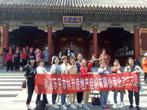 誠聘精英，共創輝煌 置業顧問與房地產信息咨詢專業人才招募